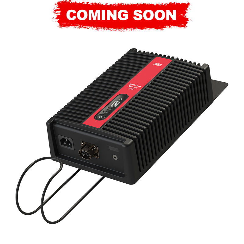 DEFA 12V 50A Workshop Charger