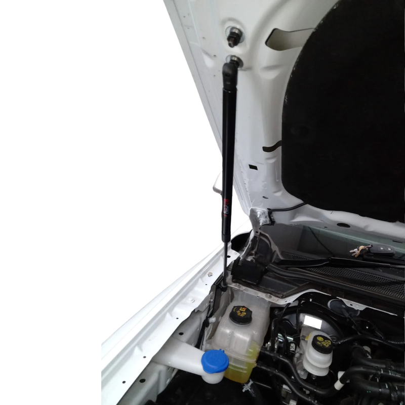 Ford Ranger Next Gen 2023+ Hood Strut