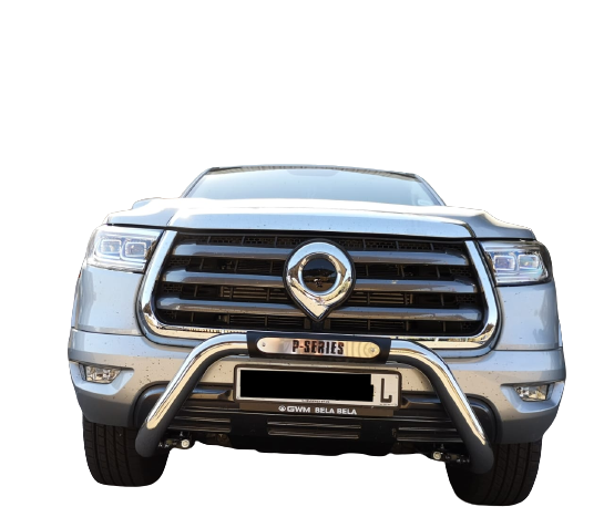 Artav | GWM P-Series Stainless Steel Nudge Bar