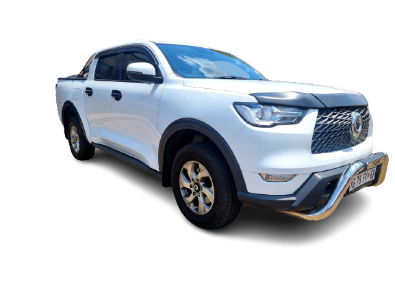 Artav | GWM P-Series Stainless Steel Nudge Bar