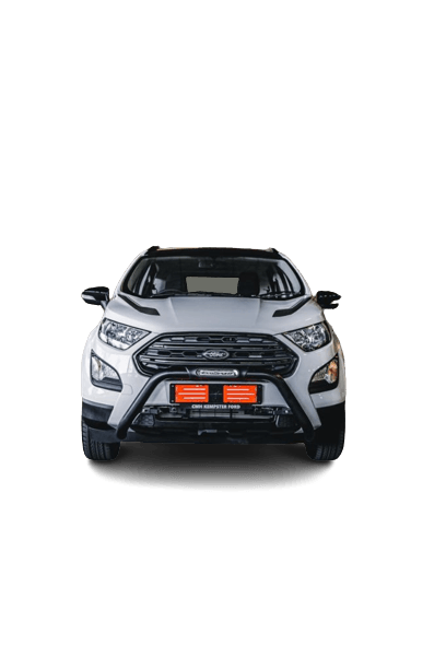 Ford EcoSport Black Stainless Steel Nudge Bar - Alpha Accessories (Pty) Ltd